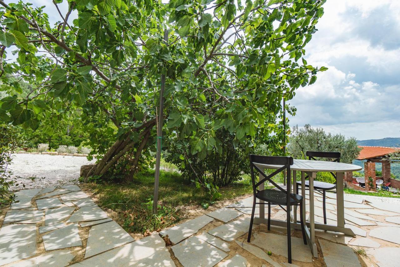 Agriturismo Le Fonti Pontassieve Exteriér fotografie
